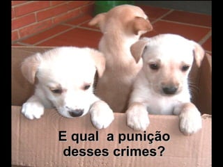 E qual  a punição desses crimes? 