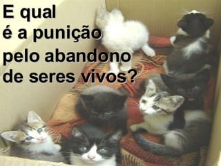 E qual  é a punição pelo abandono de seres vivos? 