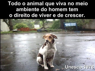 Todo o animal que viva no meio ambiente do homem tem  o direito de viver e de crescer.   Unesco-1978 