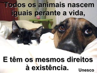 Todos os animais nascem iguais perante a vida, E têm os mesmos direitos à existência.   Unesco 