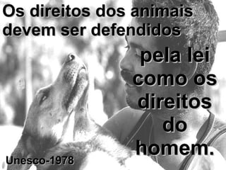 Os direitos dos animais devem ser defendidos pela lei como os direitos do homem. Unesco-1978 