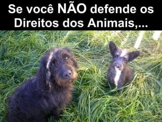 Se você  NÃO  defende os Direitos dos Animais,... 