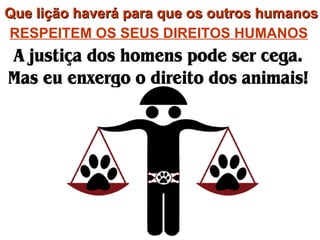 RESPEITEM OS SEUS DIREITOS HUMANOS   Que lição haverá para que os outros humanos 