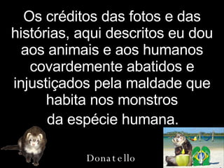 Os créditos das fotos e das histórias, aqui descritos eu dou aos animais e aos humanos covardemente abatidos e injustiçados pela maldade que habita nos monstros Donatello Tetello da espécie humana. 