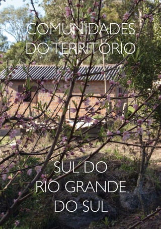 COMUNIDADES
DO TERRITÓRIO




   SUL DO
 RIO GRANDE
   DO SUL
 