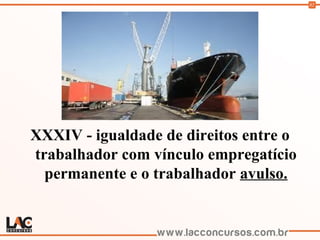 82
XXXIV - igualdade de direitos entre o
trabalhador com vínculo empregatício
permanente e o trabalhador avulso.
 