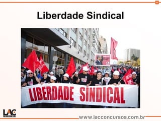 89
Liberdade Sindical
 