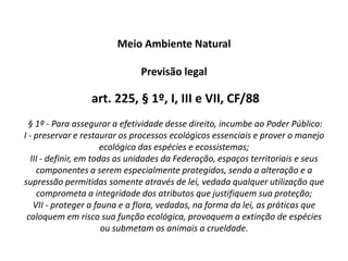 DIREITO COLETIVO EM SENTIDO AMPLO (analisar documento anexo) 1.1.1. BREVE NOTÍCIA HISTÓRICA1.1.2. DIREITO COLETIVO EM SENTIDO AMPLO NA CONSTITUIÇÃO DE 19881.2. CLASSIFICAÇÃO DO DIREITO COLETIVO EM SENTIDO AMPLO 1.2.1. NOÇÕES GERAIS1.2.2. DIREITOS DIFUSOS1.2.3. DIREITOS COLETIVOS EM SENTIDO ESTRITO1.2.4. DIREITOS INDIVIDUAIS HOMOGÊNEOS1.2.5. TIPO DE TUTELA JURISDICIONAL1.3. DIREITO AMBIENTAL  1.3.1. NOVO RAMO DO DIREITO1.3.2. ORIGEM E EVOLUÇÃO 1.3.3. CONCEPÇÃO ANTROPOCÊNTRICA1.3.4. NATUREZA JURÍDICA 1.3.5. OBJETO E FINALIDADE 2. DIREITO FUNDAMENTAL AO MEIO AMBIENTE EQUILIBRADO 2.1. CONCEITO E ORIGEM DOS DIREITOS FUNDAMENTAIS2.2. CLASSIFICAÇÃO DOS DIREITOS FUNDAMENTAIS 2.3. CARACTERÍSTICAS DOS DIREITOS FUNDAMENTAIS2.4. DIREITO FUNDAMENTAL AO MEIO AMBIENTE EQUILIBRADO 2.5. SADIA QUALIDADE DE VIDA2.6. DIGNIDADE HUMANA