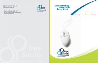 Dire Straits  Consulting Brochure