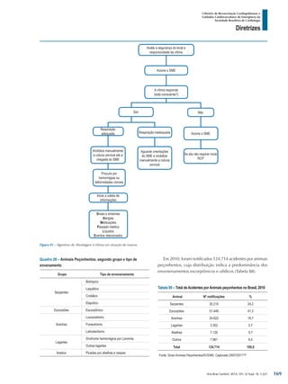 Arq Bras Cardiol: 2013; 101, (2 Supl. 3): 1-221
Diretrizes
I Diretriz de Ressuscitação Cardiopulmonar e
Cuidados Cardiovasculares de Emergência da
Sociedade Brasileira de Cardiologia
Quadro 26 – Animais Peçonhentos, segundo grupo e tipo de
envenamento
Grupo Tipo de envenenamento
Serpentes
Botrópico
Laquético
Crotálico
Elapídico
Escorpiões Escorpiônico
Aranhas
Loxoscelismo
Foneutrismo
Latrodectismo
Lagartas
Síndrome hemorrágica por Lonomia
Outras lagartas
Insetos Picadas por abelhas e vespas
Em 2010, foram notificados 124.714 acidentes por animais
peçonhentos, cuja distribuição indica a predominância dos
envenenamentos escorpiônicos e ofídicos (Tabela 88).
Tabela 89 – Total deAcidentes porAnimais peçonhentos no Brasil, 2010
Animal Nº notificações %
Serpentes 30.210 24,2
Escorpiões 51.449 41,3
Aranhas 24.622 19,7
Lagartas 3.352 2,7
Abelhas 7.120 5,7
Outros 7.961 6,4
Total 124.714 100,0
Fonte: Sinan-Animais Peçonhentos/SVS/MS. Capturado 29/07/20111598
Figura 81 - Algoritmo de Abordagem à Vítima em situação de trauma.
Avalie a segurança do local e
responsividade da vítima
Acione o SME
A vítima responde
(está consciente?)
Sim Não
Acione o SME
Respiração
adequada
Imobilize manualmente
a coluna cervical até a
chegada do SME
Procure por
hemorragias ou
deformidades visíveis
Inicie a coleta de
informações
Sinais e sintomas
Alergias
Medicações
Passado médico
Líquidos
Eventos relacionados
Respiração inadequada
Aguarde orientações
do SME e imobilize
manualmente a coluna
cervical
Se ela não respirar inicie
RCP
169
 