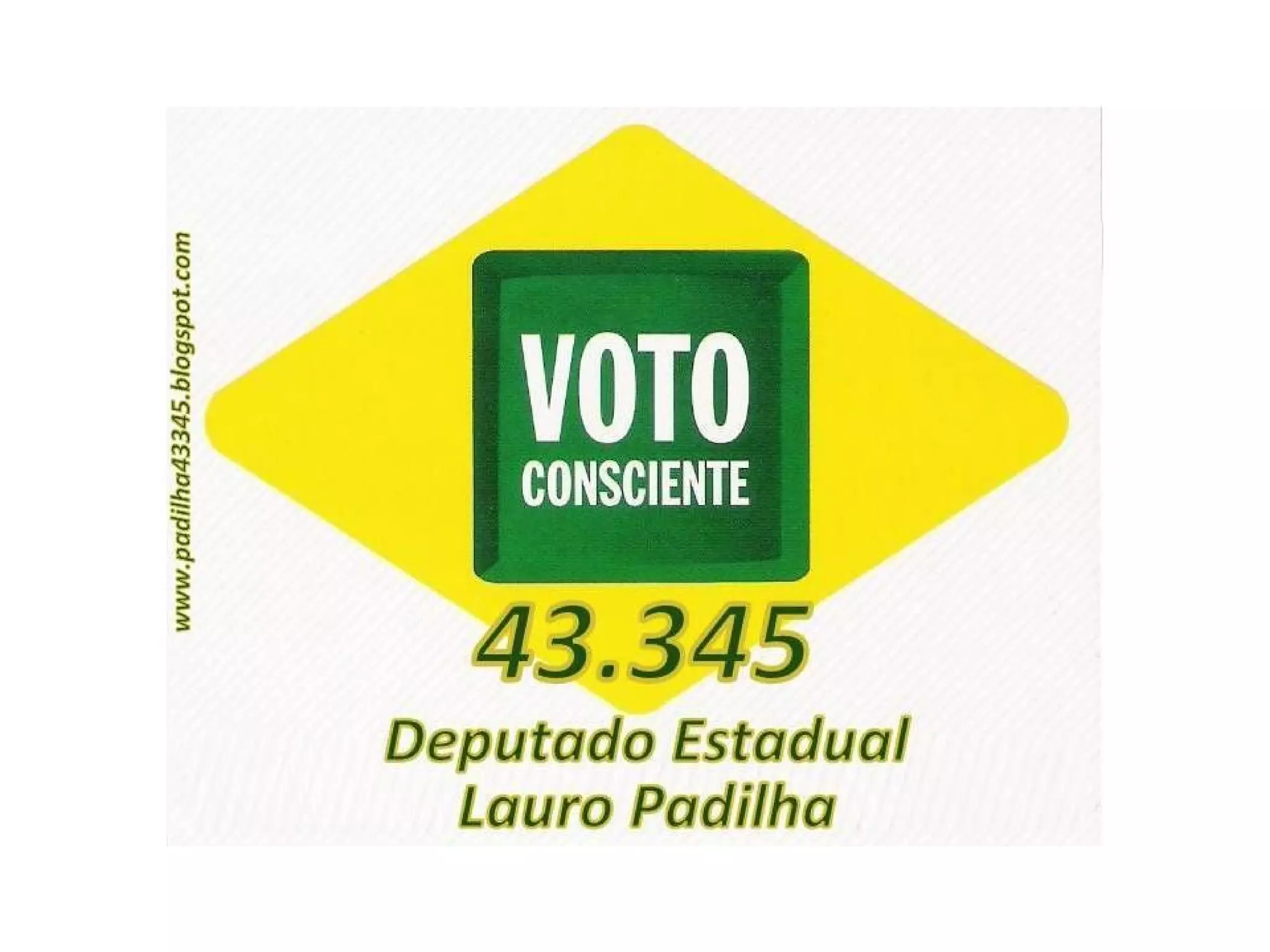 Diretrizes básicas propostas 2010