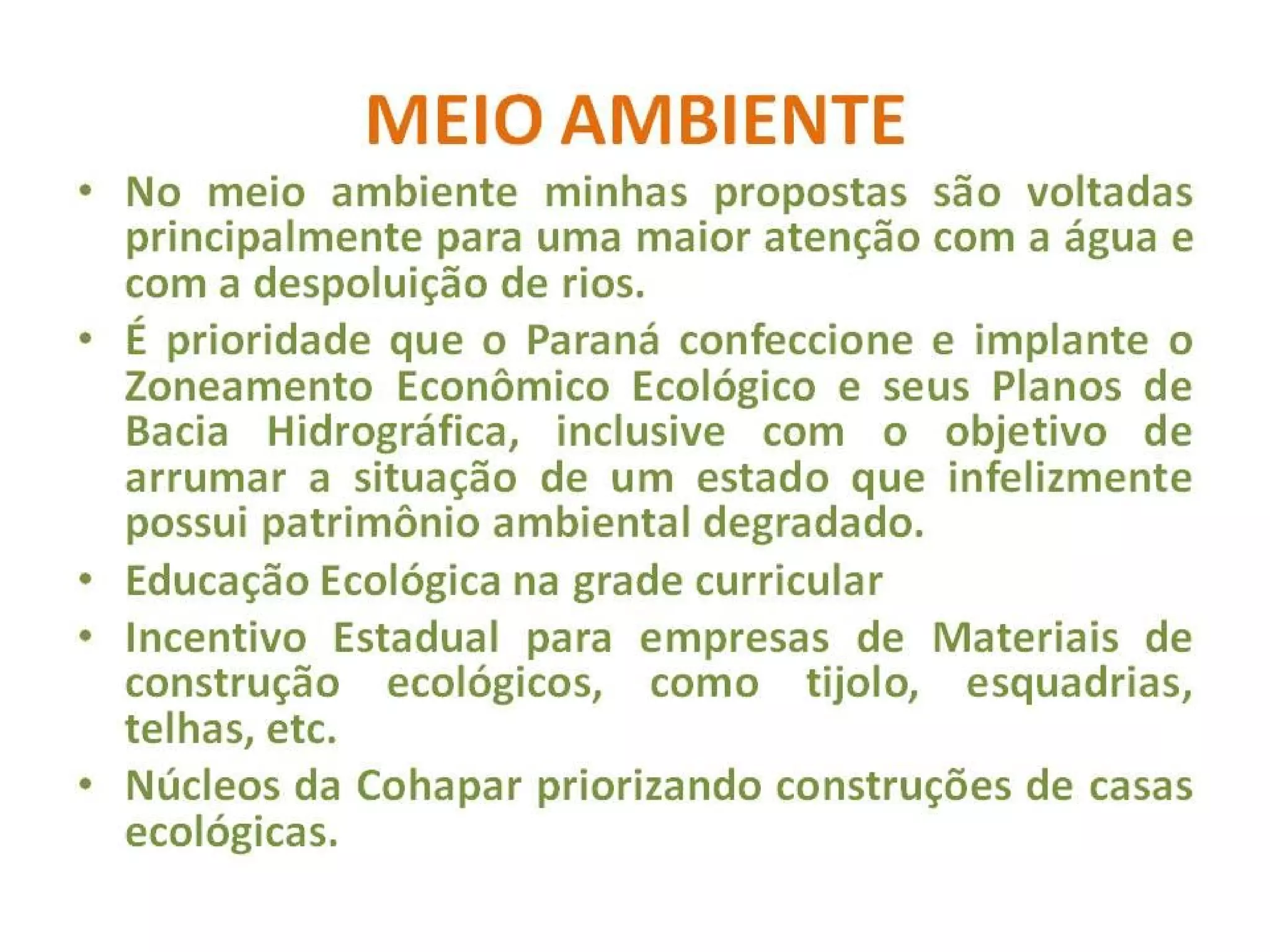 Diretrizes básicas propostas 2010