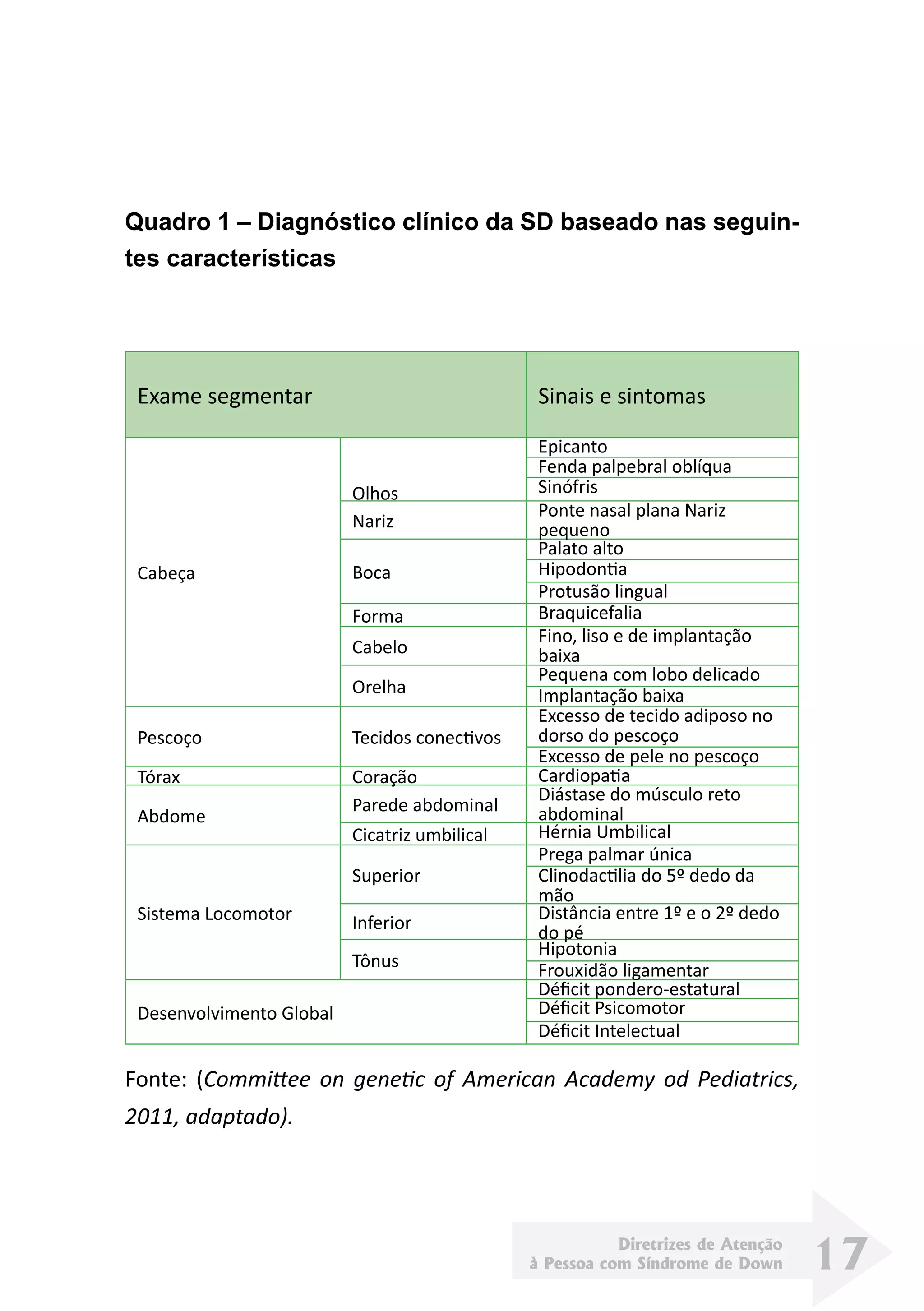 Diretrizes de Atenção
à Pessoa com Síndrome de Down 17
Quadro 1 – Diagnóstico clínico da SD baseado nas seguin-
tes características
Exame segmentar Sinais e sintomas
Cabeça
Olhos
Epicanto
Fenda palpebral oblíqua
Sinófris
Nariz
Ponte nasal plana Nariz
pequeno
Boca
Palato alto
Hipodontia
Protusão lingual
Forma Braquicefalia
Cabelo
Fino, liso e de implantação
baixa
Orelha
Pequena com lobo delicado
Implantação baixa
Pescoço Tecidos conectivos
Excesso de tecido adiposo no
dorso do pescoço
Excesso de pele no pescoço
Tórax Coração Cardiopatia
Abdome
Parede abdominal
Diástase do músculo reto
abdominal
Cicatriz umbilical Hérnia Umbilical
Sistema Locomotor
Superior
Prega palmar única
Clinodactilia do 5º dedo da
mão
Inferior
Distância entre 1º e o 2º dedo
do pé
Tônus
Hipotonia
Frouxidão ligamentar
Desenvolvimento Global
Déficit pondero-estatural
Déficit Psicomotor
Déficit Intelectual
Fonte: (Committee on genetic of American Academy od Pediatrics,
2011, adaptado).
 