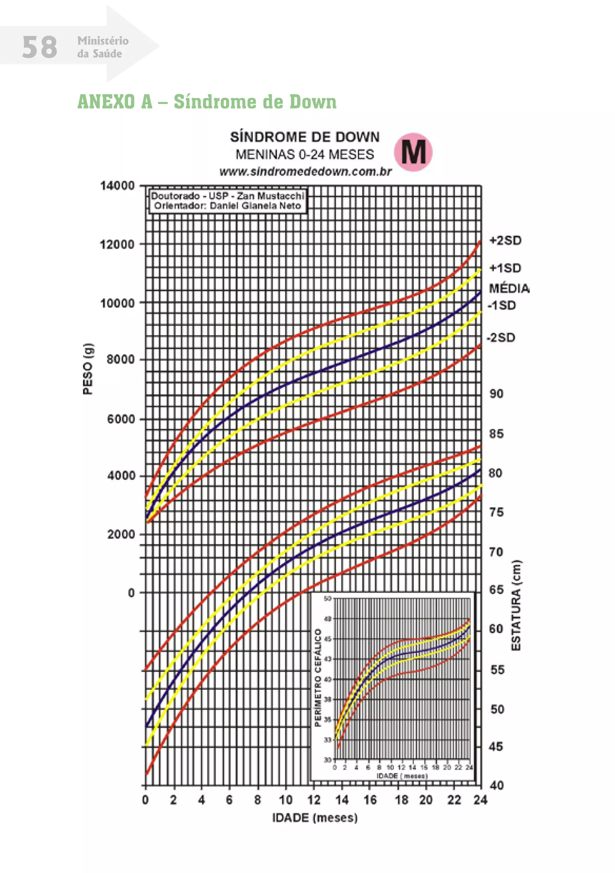 Ministério
da Saúde58
ANEXO A – Síndrome de Down
 