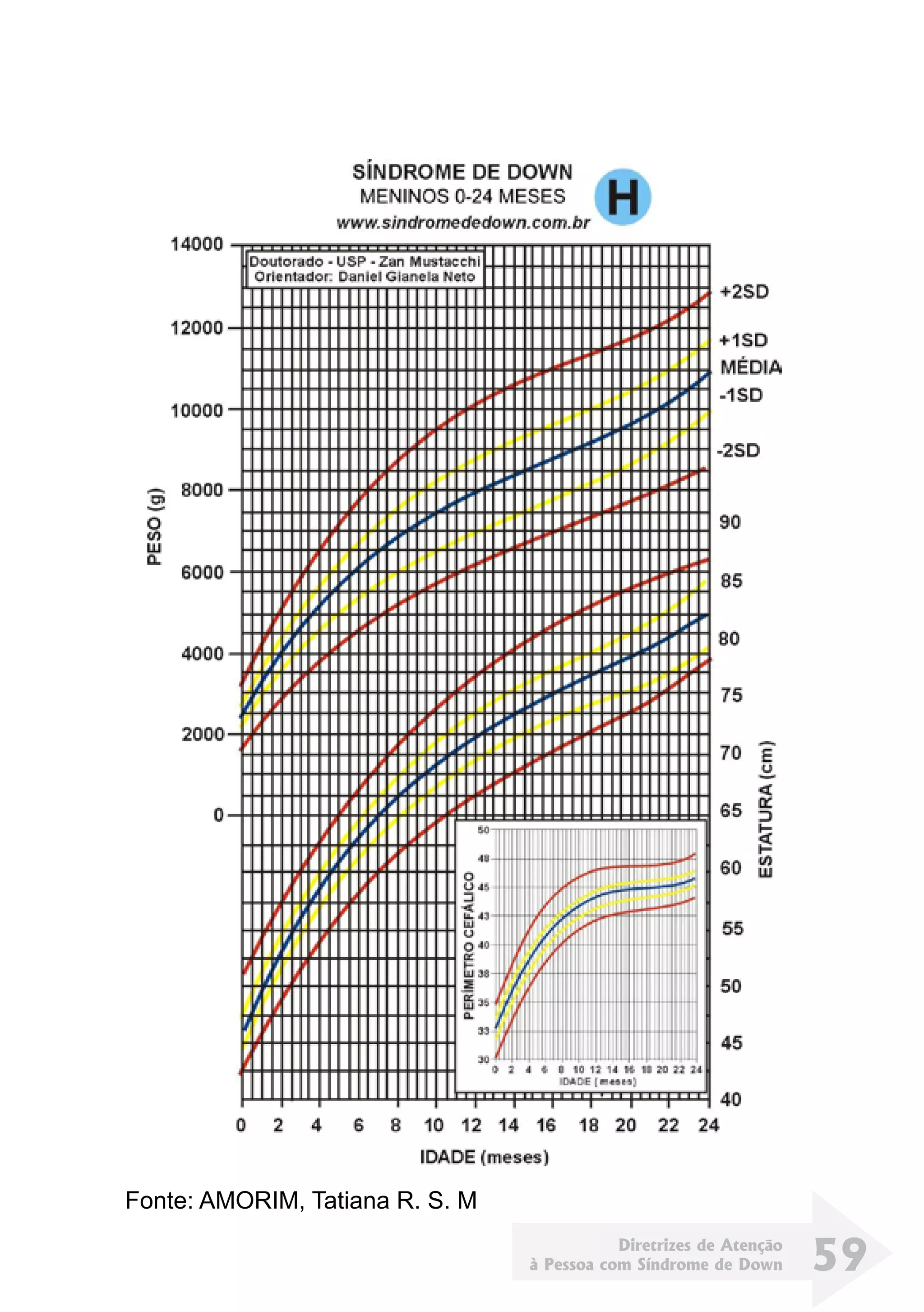 Diretrizes de Atenção
à Pessoa com Síndrome de Down 59
Fonte: AMORIM, Tatiana R. S. M
 