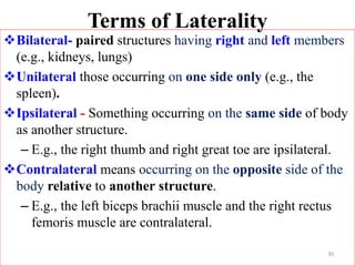 Introduction to human anatomy for ms student | PPTX