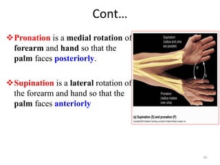 Introduction to human anatomy for ms student | PPTX