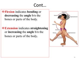 Flection Introduction to human anatomy for ms student | PPTX