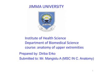 1
JIMMA UNIVERSITY
Prepared by: Diriba Erko
Submitted to: Mr. Mangistu A (MSC IN C. Anatomy)
Institute of Health Science
Department of Biomedical Science
course: anatomy of upper extremities
 
