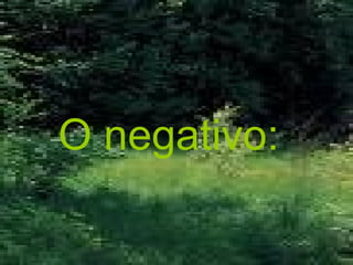 O negativo:   