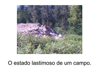 O estado lastimoso de um campo. 