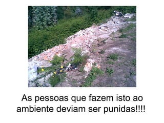 As pessoas que fazem isto ao ambiente deviam ser punidas!!!!  