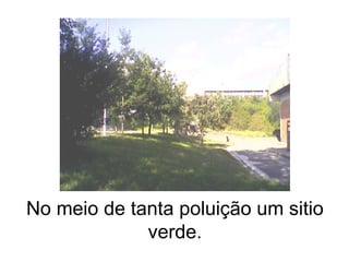 No meio de tanta poluição um sitio verde. 