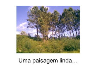 Uma paisagem linda… 