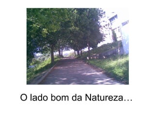 O lado bom da Natureza… 