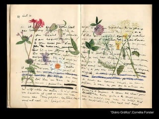 “ Diário Gráfico”,Cornélia Forster 