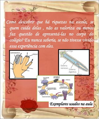 Como descobrir que há riquezas na escola, se
 quem cuida delas , não as valoriza ou menos
 faz questão de apresentá-las no corpo do
 colégio? Eu nunca saberia, se não tivesse vivido
 essa experiência com eles.




                        Exemplares usados na aula
 