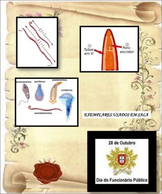 EXEMPLARES USADOS EM SALA
 