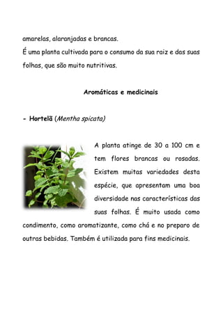amarelas, alaranjadas e brancas.
É uma planta cultivada para o consumo da sua raiz e das suas
folhas, que são muito nutritivas.
Aromáticas e medicinais
- Hortelã (Mentha spicata)
A planta atinge de 30 a 100 cm e
tem flores brancas ou rosadas.
Existem muitas variedades desta
espécie, que apresentam uma boa
diversidade nas características das
suas folhas. É muito usada como
condimento, como aromatizante, como chá e no preparo de
outras bebidas. Também é utilizada para fins medicinais.
 