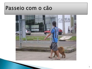 5Passeio com o cão