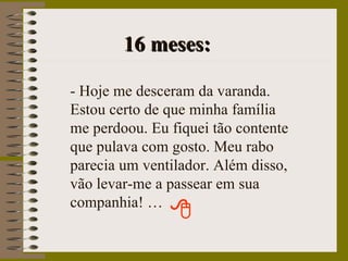 16 meses: - Hoje me desceram da varanda. Estou certo de que minha família me perdoou. Eu fiquei tão contente que pulava com gosto. Meu rabo parecia um ventilador. Além disso, vão levar-me a passear em sua companhia! … 