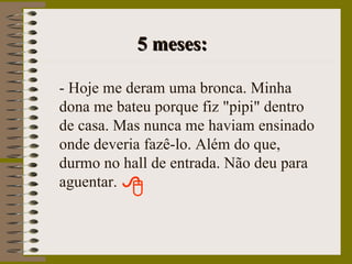   5 meses: - Hoje me deram uma bronca. Minha dona me bateu porque fiz "pipi" dentro de casa. Mas nunca me haviam ensinado onde deveria fazê-lo. Além do que, durmo no hall de entrada. Não deu para aguentar. 