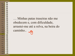…  Minhas patas traseiras não me obedecem e, com dificuldade,  arrastei-me até a relva, na beira do caminho.. 