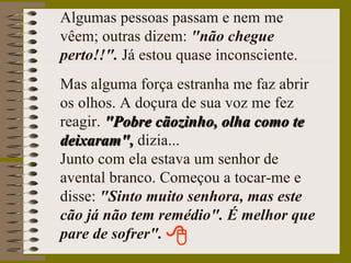 Algumas pessoas passam e nem me vêem; outras dizem:  "não chegue perto!!".  Já estou quase inconsciente.  Mas alguma força estranha me faz abrir os olhos. A doçura de sua voz me fez reagir.  "Pobre cãozinho, olha como te deixaram",  dizia...  Junto com ela estava um senhor de avental branco. Começou a tocar-me e disse:  "Sinto muito senhora, mas este cão já não tem remédio". É melhor que pare de sofrer". 