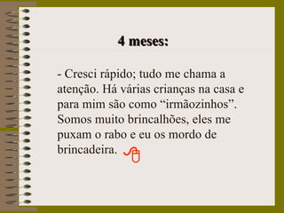4 meses: - Cresci rápido; tudo me chama a atenção. Há várias crianças na casa e para mim são como “irmãozinhos”. Somos muito brincalhões, eles me puxam o rabo e eu os mordo de brincadeira. 