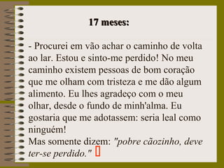 17 meses:17 meses:
- Procurei em vão achar o caminho de volta
ao lar. Estou e sinto-me perdido! No meu
caminho existem pessoas de bom coração
que me olham com tristeza e me dão algum
alimento. Eu lhes agradeço com o meu
olhar, desde o fundo de minh'alma. Eu
gostaria que me adotassem: seria leal como
ninguém!
Mas somente dizem: "pobre cãozinho, deve
ter-se perdido." 
 