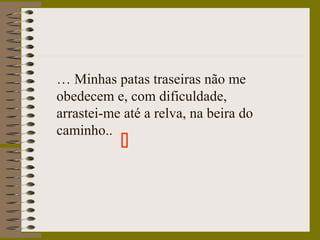 … Minhas patas traseiras não me
obedecem e, com dificuldade,
arrastei-me até a relva, na beira do
caminho..

 