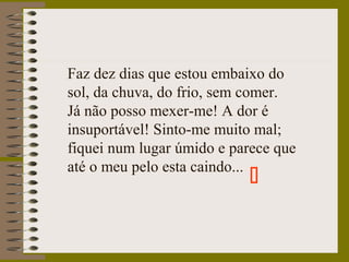 Faz dez dias que estou embaixo do
sol, da chuva, do frio, sem comer.
Já não posso mexer-me! A dor é
insuportável! Sinto-me muito mal;
fiquei num lugar úmido e parece que
até o meu pelo esta caindo...

 