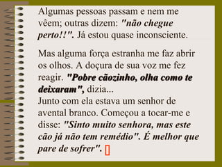 Algumas pessoas passam e nem me
vêem; outras dizem: "não chegue
perto!!". Já estou quase inconsciente.
Mas alguma força estranha me faz abrir
os olhos. A doçura de sua voz me fez
reagir. "Pobre cãozinho, olha como te"Pobre cãozinho, olha como te
deixaram",deixaram", dizia...
Junto com ela estava um senhor de
avental branco. Começou a tocar-me e
disse: "Sinto muito senhora, mas este
cão já não tem remédio". É melhor que
pare de sofrer". 
 