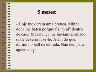 5 meses:5 meses:
- Hoje me deram uma bronca. Minha
dona me bateu porque fiz "pipi" dentro
de casa. Mas nunca me haviam ensinado
onde deveria fazê-lo. Além do que,
durmo no hall de entrada. Não deu para
aguentar.

 