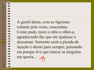 A gentil dama, com as lágrimas rolando pelo rosto, concordou.Como pude, mexi o rabo e olhei-a, agradecendo-lhe que me ajudasse a descansar. Somente senti a picada da injeção e dormi para sempre, pensando em porque tive que nascer se ninguém me queria...