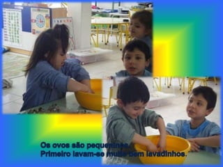 Os ovos são pequeninos. Primeiro lavam-se muito bem lavadinhos. 