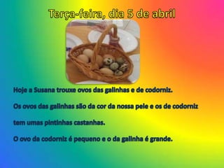 Terça-feira, dia 5 de abrilHoje a Susana trouxe ovos das galinhas e de codorniz.Os ovos das galinhas são da cor da nossa pele e os de codorniztem umas pintinhas castanhas.O ovo da codorniz é pequeno e o da galinha é grande.