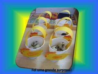 Foi uma grande surpresa!