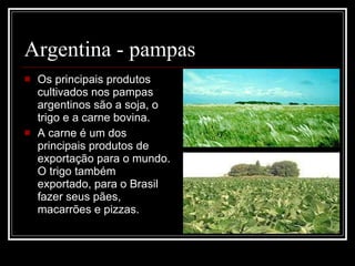 Argentina - pampas Os principais produtos cultivados nos pampas argentinos são a soja, o trigo e a carne bovina. A carne é um dos principais produtos de exportação para o mundo. O trigo também exportado, para o Brasil fazer seus pães, macarrões e pizzas. 