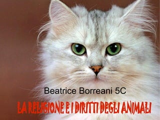 Beatrice Borreani 5C 